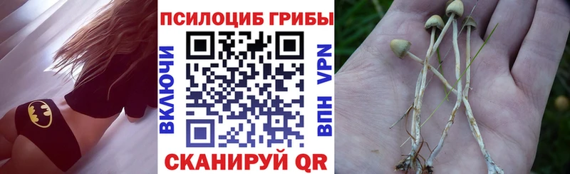 Галлюциногенные грибы прущие грибы  Купить закладки  Кропоткин 